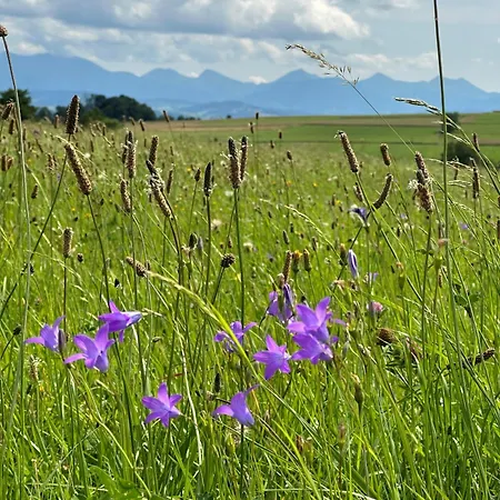 W Gorach - Podhalanski Semesterbostad *