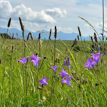 W Gorach - Podhalanski Semesterbostad