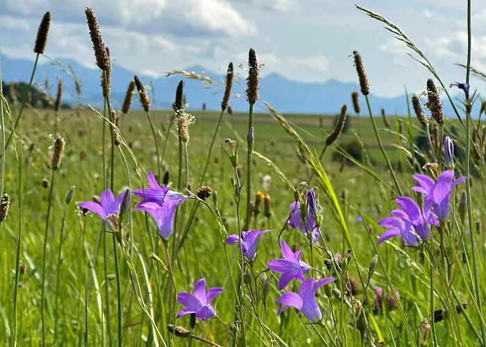 W Gorach - Podhalanski בית נופש